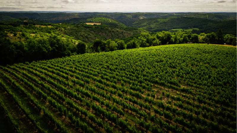 coteaux quercy escape game