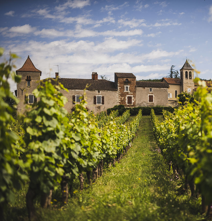 Château Lamagdelaine Noire