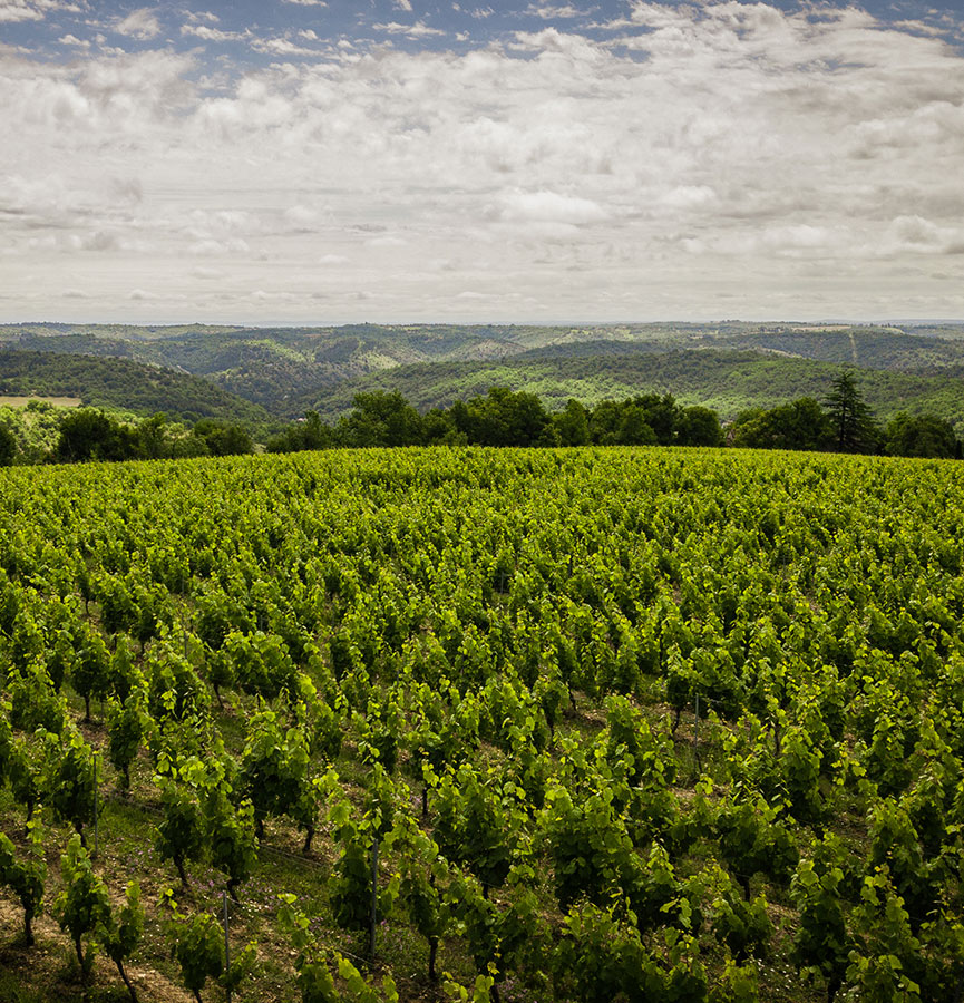 Domaine de Mériguet